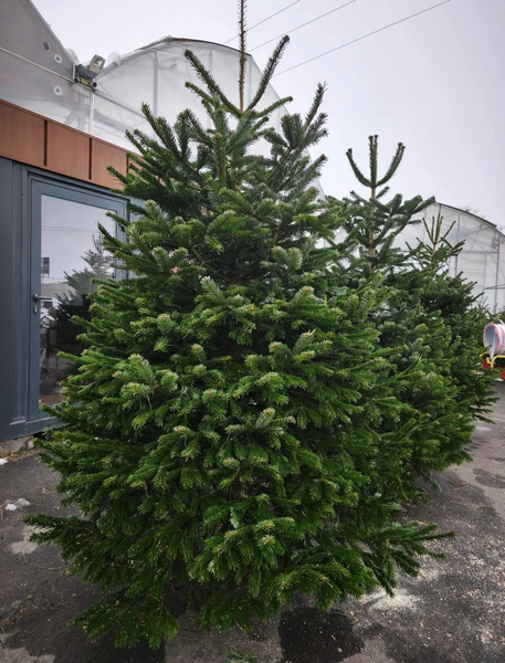 Zdjęcie na okładce dla Ogrodnictwo Łukiewicz Grębocin - Toruń